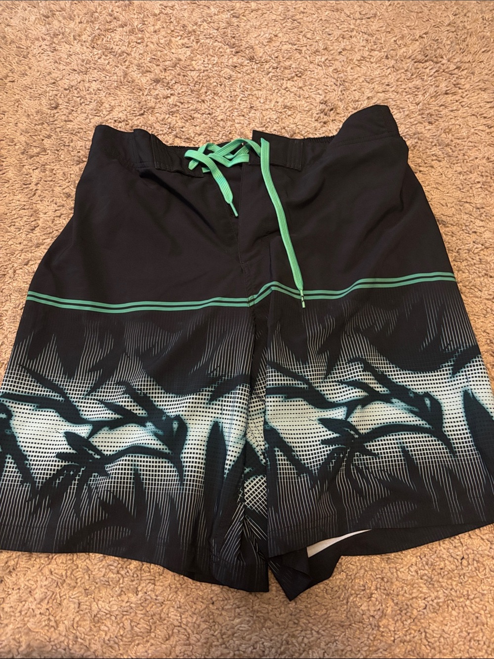 Under Armour Black Swim Trunks with Teal Accents